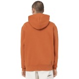 DICKIES SUMMERDALE HOODIE DK0A4Y6PC05-C05 Brown Image 0
