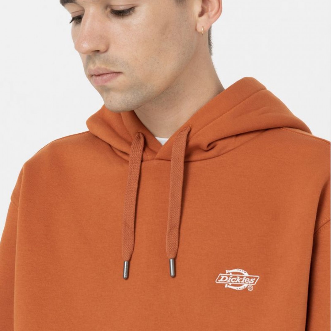 DICKIES SUMMERDALE HOODIE DK0A4Y6PC05-C05 Brown