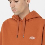 DICKIES SUMMERDALE HOODIE DK0A4Y6PC05-C05 Brown Image 1
