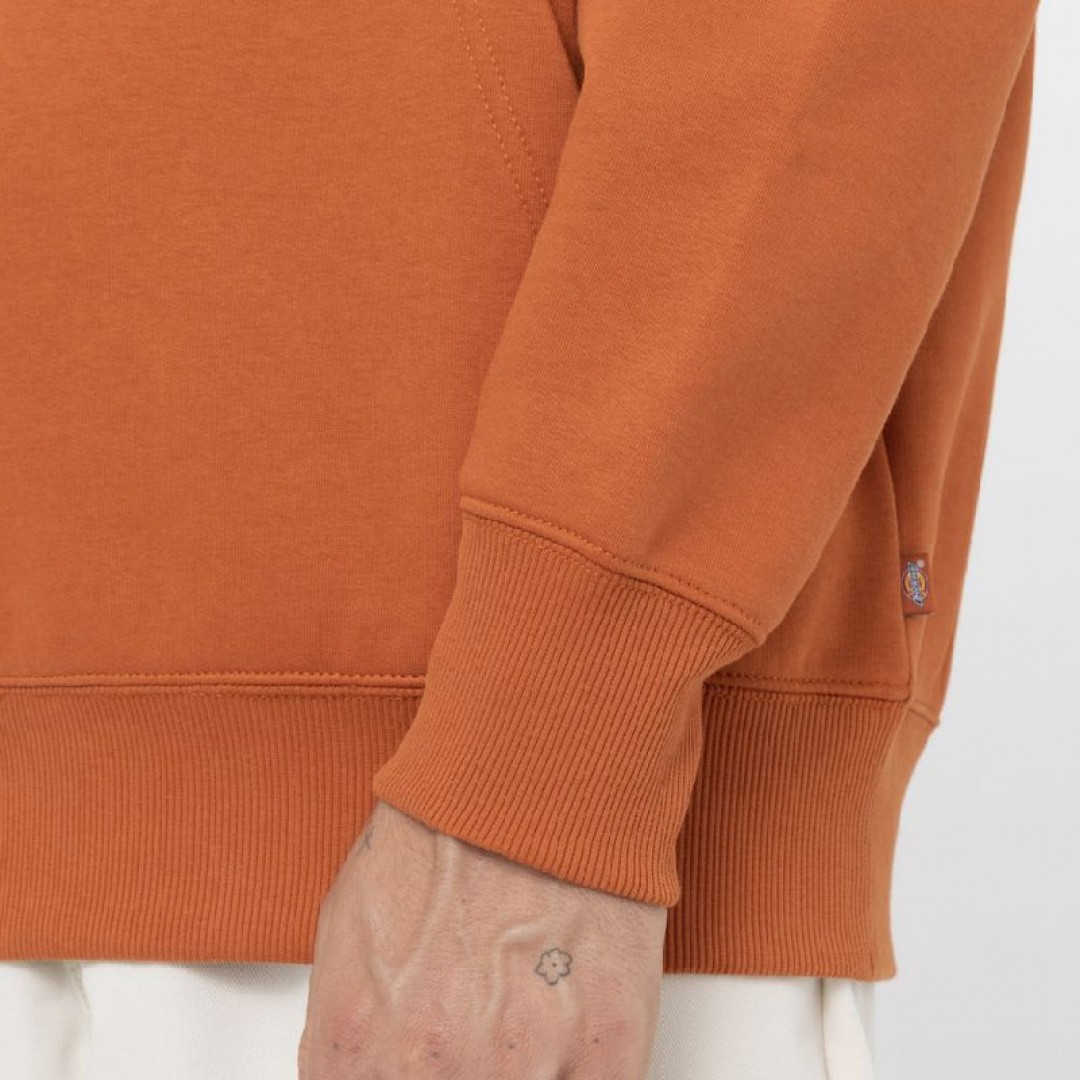 DICKIES SUMMERDALE HOODIE DK0A4Y6PC05-C05 Brown