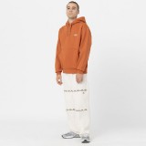 DICKIES SUMMERDALE HOODIE DK0A4Y6PC05-C05 Brown Image 3