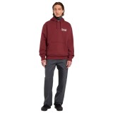 DICKIES DONUT HOUSE HOODIE DK0A88ATL16-L16 Μπορντό Εικόνα 4