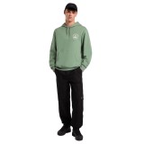 DICKIES PARROTSVILLE HOODIE DK0A87NRL19-L19 Alcohol Image 4