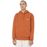 DICKIES SUMMERDALE HOODIE DK0A4Y6PC05-C05 Brown Image 