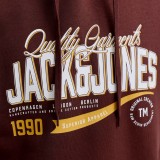 JACK & JONES JJELOGO SWEAT HOOD 2 COL AW SN 12299467-5034182 Καφέ Εικόνα 1