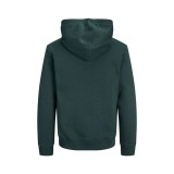 JACK & JONES JJAERO SWEAT HOOD 12298491-5024831 Green Image 0