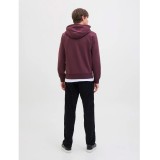 JJ REBEL JREBRAKIM SWEAT ZIP HOOD 12279424-VINEYARD WINE Μπορντό Εικόνα 3