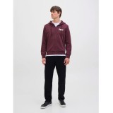 JJ REBEL JREBRAKIM SWEAT ZIP HOOD 12279424-VINEYARD WINE Μπορντό Εικόνα 4