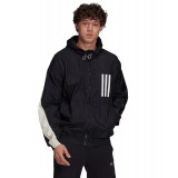 adidas Performance M WND MOTHER GT9769 Black Image 
