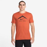 NIKE DRI-FIT FQ3914-846 Brown Image 
