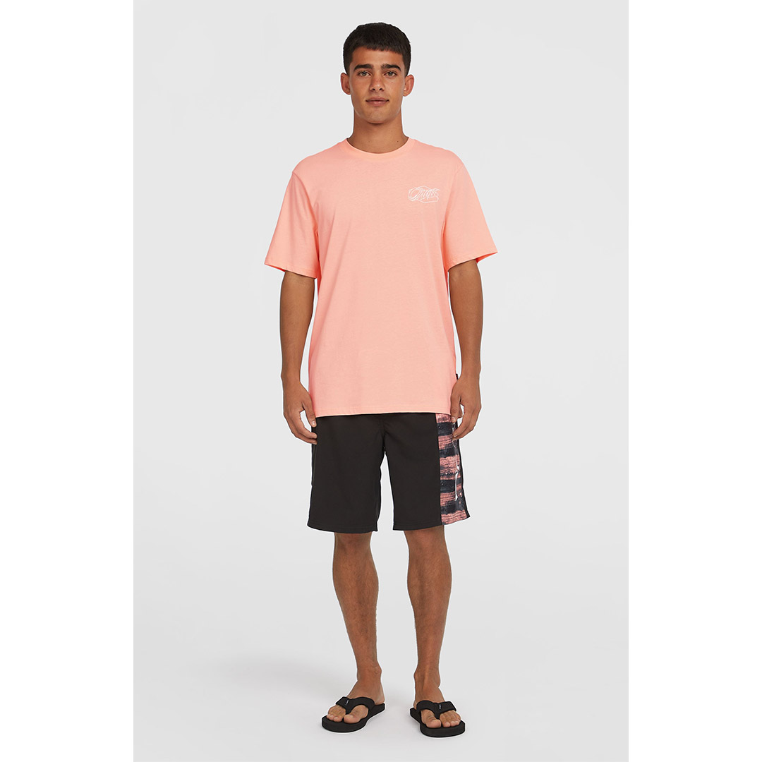 O'NEILL BOX LOGO T-SHIRT 2850292-14035 Somon