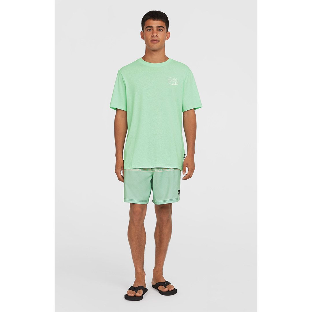 O'NEILL BOX LOGO T-SHIRT 2850292-16050 Alcohol