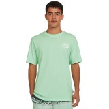 O'NEILL BOX LOGO T-SHIRT 2850292-16050 Alcohol Image 