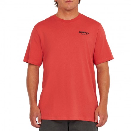 O'NEILL GLOBAL T-SHIRT 2850287-13033 Σομόν