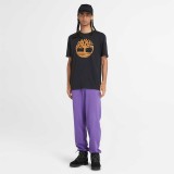 TIMBERLAND TREE LOGO SHORT SLEEVE TEE TB0A2C2RP56-P56 Μαύρο Εικόνα 2