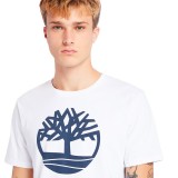 TIMBERLAND KENNEBEC RIVER ΤΕΕ TB0A2C2R100-100 Λευκό Εικόνα 2