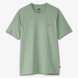 DICKIES SS MAPLETON TEE DK0A4XDBK36-K36 Alcohol Image 2