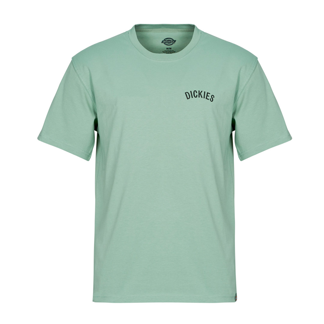 DICKIES SNAKE SS TEE DK0A4Z99K36-K36 Alcohol