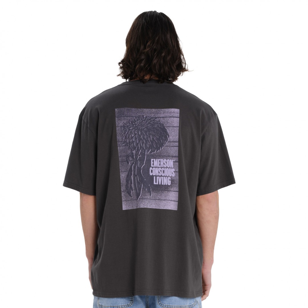 EMERSON 261.EM33.55-CHARCOAL Coal
