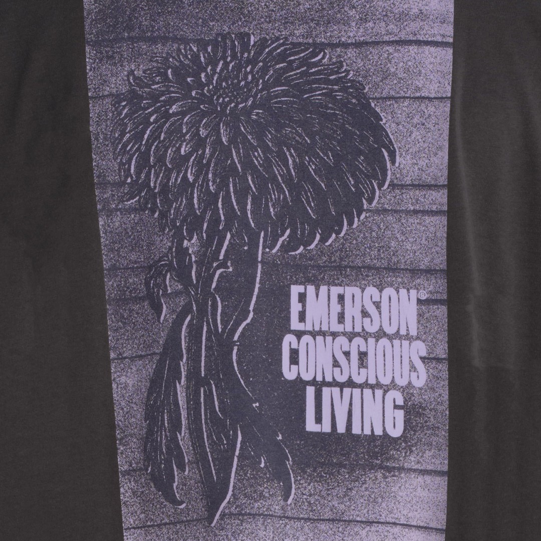 EMERSON 261.EM33.55-CHARCOAL Coal