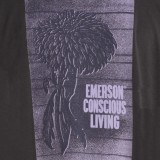 EMERSON 261.EM33.55-CHARCOAL Coal Image 2