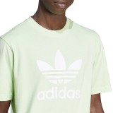 adidas Originals TREFOIL T-SHIRT IR7979 Alcohol Image 2