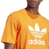 adidas Originals TREFOIL T-SHIRT IR8000 Orange Image 2