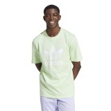 adidas Originals TREFOIL T-SHIRT IR7979 Alcohol Image 