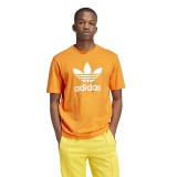 adidas Originals TREFOIL T-SHIRT IR8000 Orange Image 