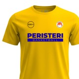 GSA PERISTERI B.C. MEN TRAINING T-SHIRT GT42549-YELLOW Yellow Image 0