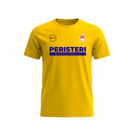 GSA PERISTERI B.C. MEN TRAINING T-SHIRT GT42549-YELLOW Κίτρινο
