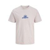 JACK & JONES JCOVERSION TEE SS CREW NECK 12286117-4872029 Lilac Image 