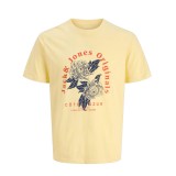 JACK & JONES JORAZUR TEE SS CREW NECK 12286056-4866353 Yellow Image 