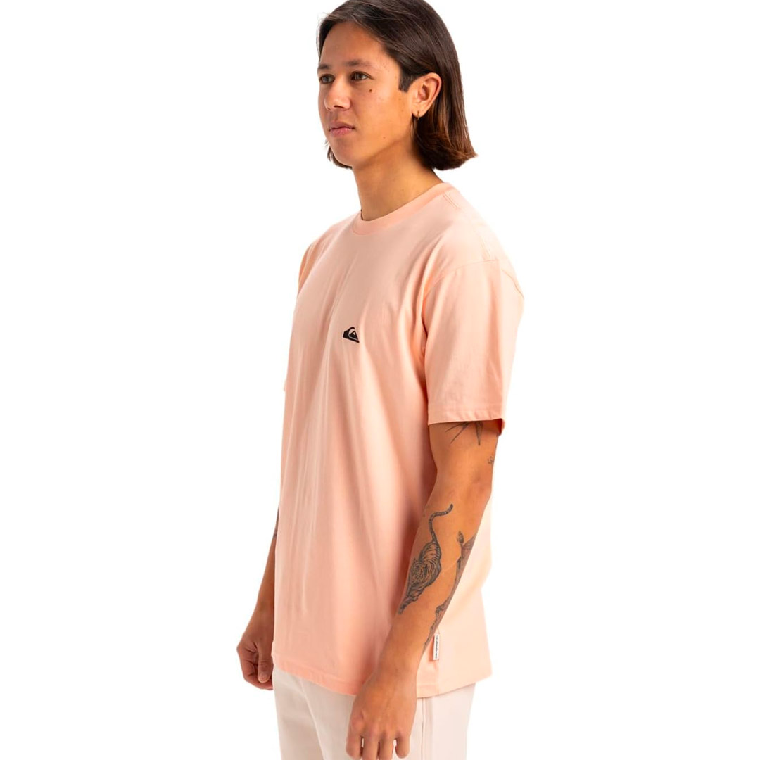 QUIKSILVER BASIC SS TEE YOUNG MEN EQYZT07711-MEF0 Somon