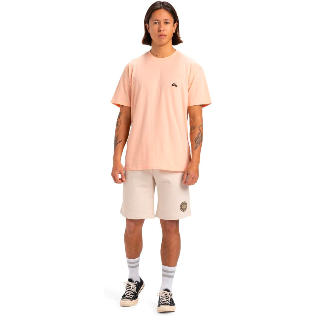 QUIKSILVER BASIC SS TEE YOUNG MEN EQYZT07711-MEF0 Somon