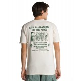 VANS ALL NATURAL MIND SS TEE VN00003W3KS-3KS Ecru Image 0