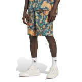 adidas Originals FLORAL SHORT KB8370 Πολύχρωμο Εικόνα 