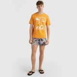 O'NEILL CALI PRINT 15'' SWIM SHORTS 2800071-39033 Μαύρο Εικόνα 5