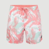 O'NEILL CALI CRAZY 16'' SWIM SHORTS 2800083-32516 Πολύχρωμο Εικόνα 1