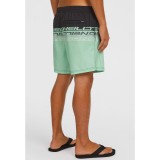 O'NEILL CALI STRIPE 16 SWIMSHORTS 2800209-36089 Πολύχρωμο Εικόνα 0
