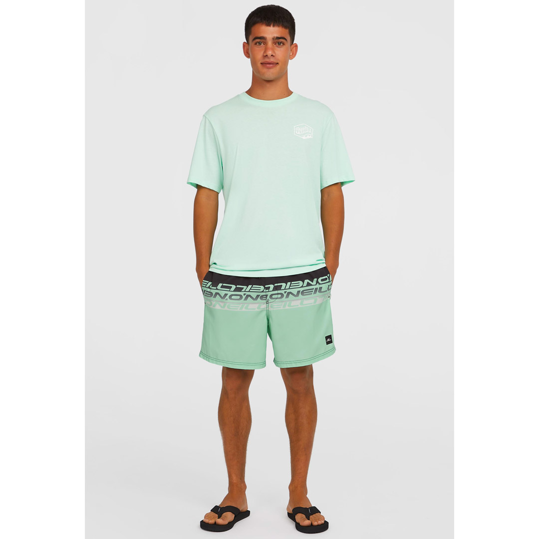 O'NEILL CALI STRIPE 16 SWIMSHORTS 2800209-36089 Πολύχρωμο