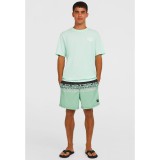 O'NEILL CALI STRIPE 16 SWIMSHORTS 2800209-36089 Πολύχρωμο Εικόνα 2