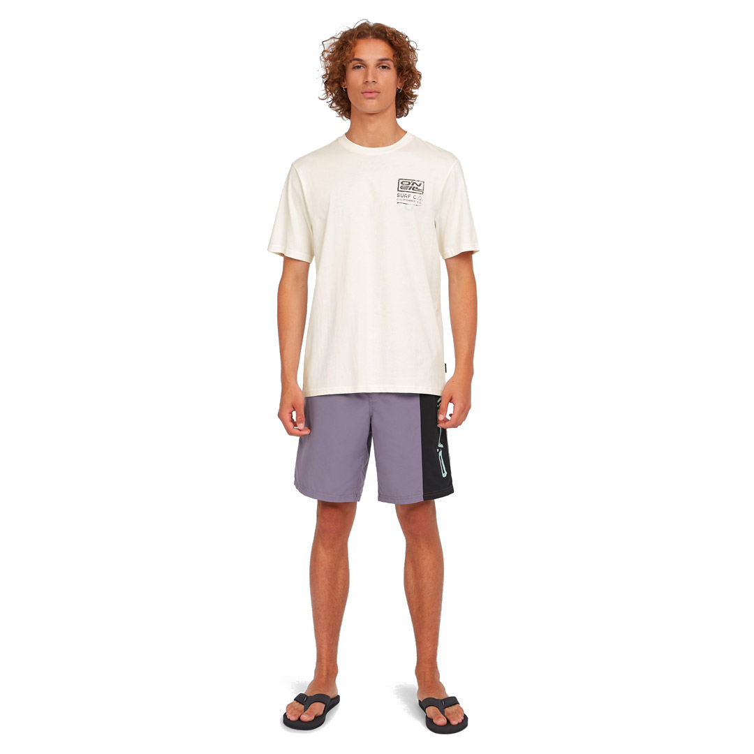 O'NEILL RETRO 19 SWIMSHORTS 2800196-44519 Λιλά