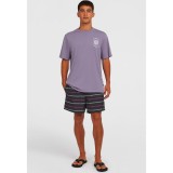 O'NEILL CALI FIRST 15 SWIMSHORTS 2800200-39122 Πολύχρωμο Εικόνα 2