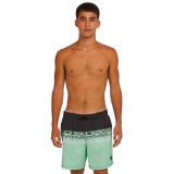 O'NEILL CALI STRIPE 16 SWIMSHORTS 2800209-36089 Πολύχρωμο Εικόνα 