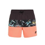 O'NEILL MIX & MATCH CALI BLOCK 15 SWIM SHORTS 2800132-39081 Πολύχρωμο Εικόνα 