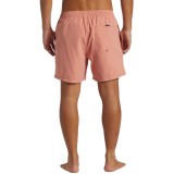 QUIKSILVER EVERYDAY SOLID VOLLEY 15 AQYJV03153-MJR0 Ανθρακί Εικόνα 0