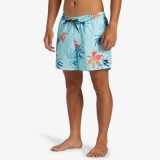 QUIKSILVER EVERYDAY MIX VOLLEY 15 AQYJV03147-BET6 Σιελ Εικόνα 1