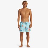QUIKSILVER EVERYDAY MIX VOLLEY 15 AQYJV03147-BET6 Σιελ Εικόνα 3
