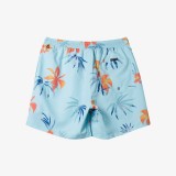 QUIKSILVER EVERYDAY MIX VOLLEY 15 AQYJV03147-BET6 Σιελ Εικόνα 5
